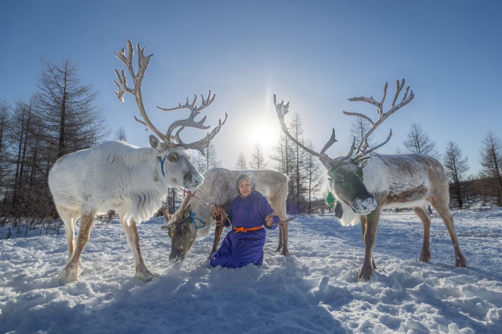 WhatsApp Image 2024 04 02 at 14.39.42 d97c3620 Winter Reindeer Tour for Expats