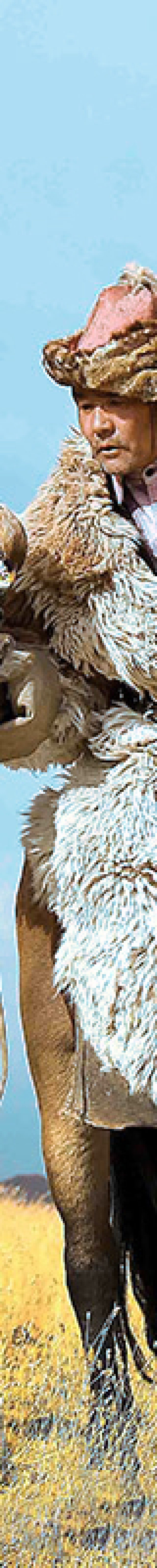 Golden Eagle Posing2