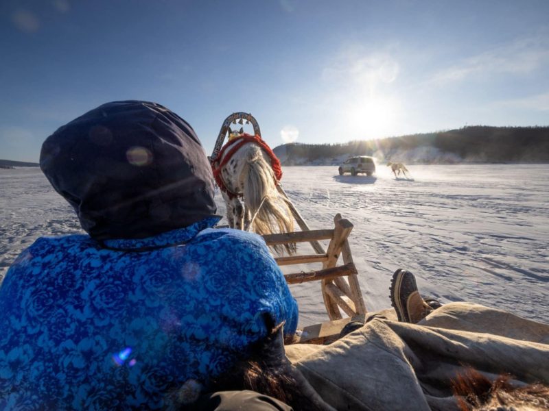 Horse Sledding