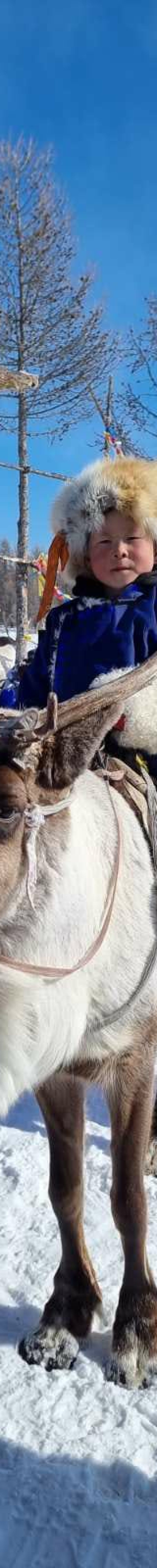 Little Reindeer Boy- Tsaatan Reindeer Tribe during Mongolia winter tour