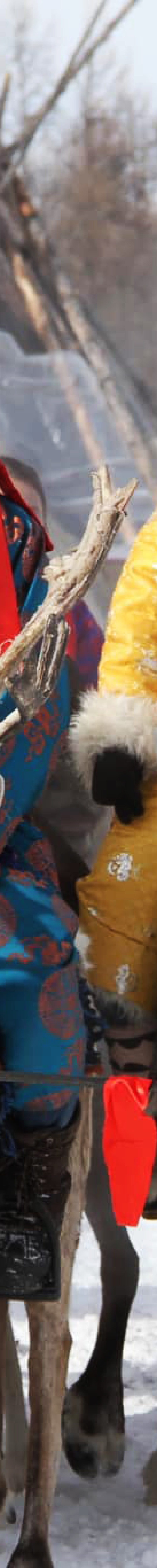 Reindeer Festival Mongolia