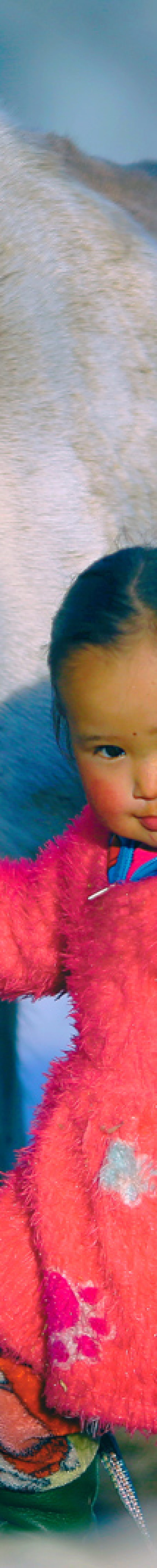 Little Reindeer Girl Tsaatan Reindeer Tribe during Mongolia winter tour