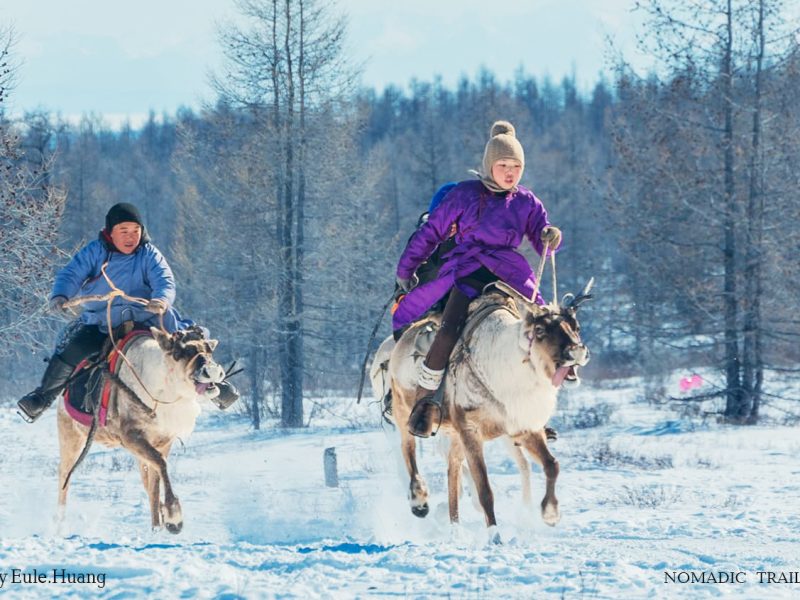 Reindeer race1