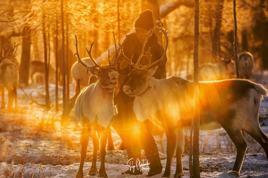 Winter Reindeer Tour Mongolia