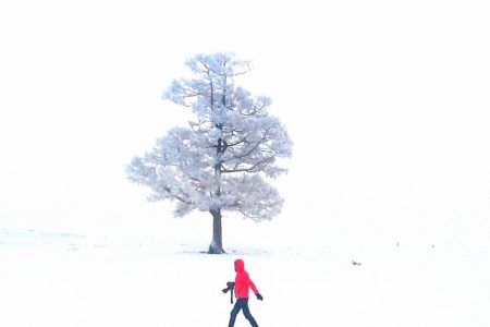 Winter tour Mongolia