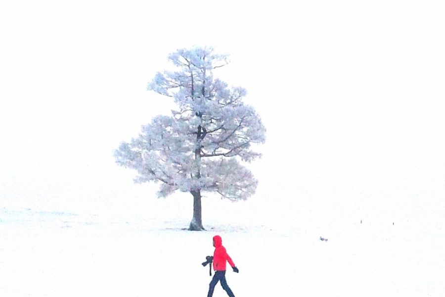 Winter tour Mongolia