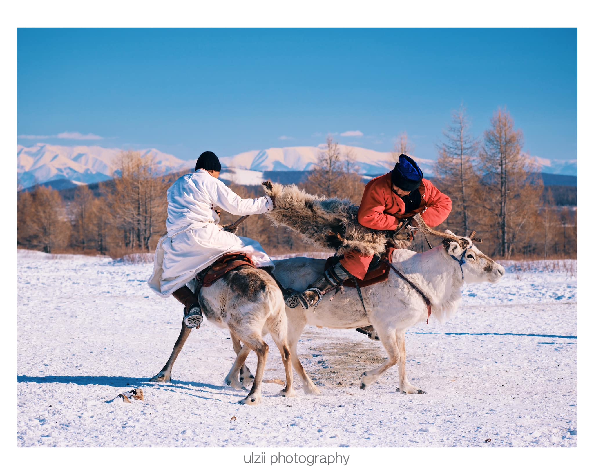 Mongolia Tours & Travel 2025/2026