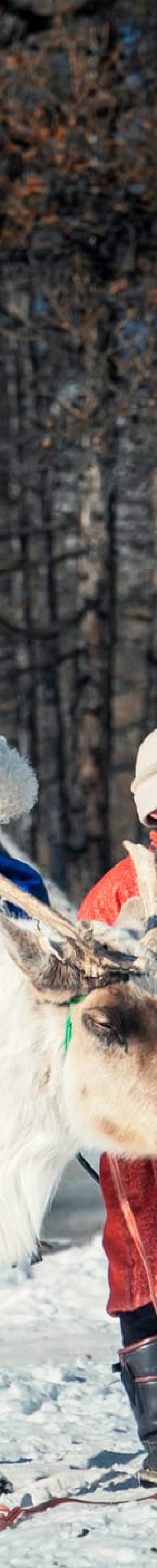 Taiga-Reindeer Tribe