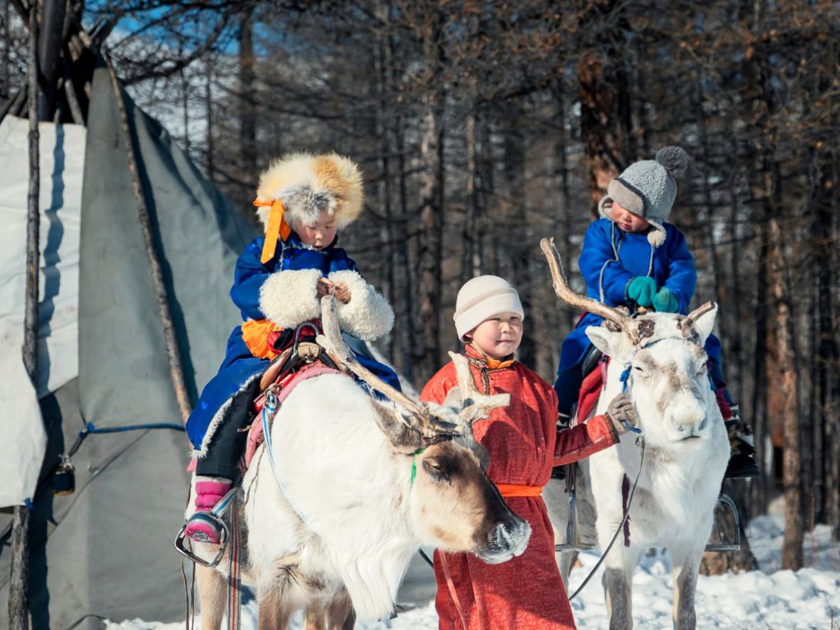 Taiga-Reindeer Tribe