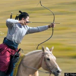 Horse Archery