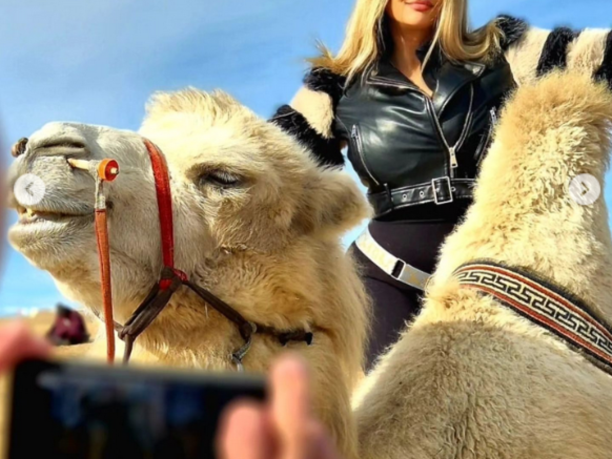 Camel Rider in Elsen Tasarakhai